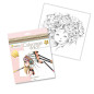 MY MANDARINE GY068C - Un carnet de coloriage Wild - 28 pages 20x20 cm - Coloriage pour Adulte - WILD 2 MY MANDARINE GY068C - Un carnet de coloriage Wild - 28 pages 20x20 cm - Coloriage pour Adulte - WILD 2
