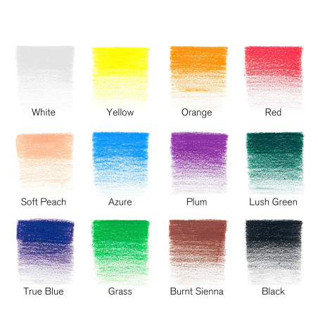 Winsor & Newton Studio Collection Crayons de Couleur X12
