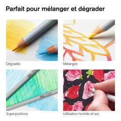 Winsor & Newton Studio Collection Crayons de Couleur X12