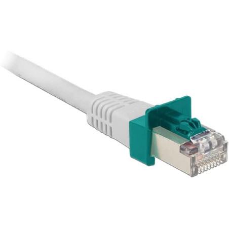 DeLOCK RJ45 Secure Clip Kit de démarrage 20 StÃ ¼ CK