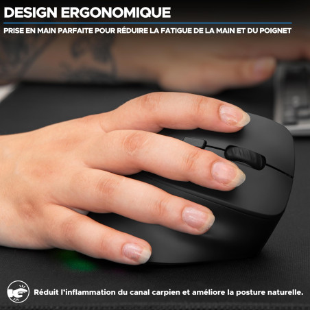 Bluestork - Souris sans Fil Ergonomique, Connexion 2.4 Ghz + Bluetooth, 800-2400 DPI, 6 Boutons, LED RGB - Souris Ergonomique Ve