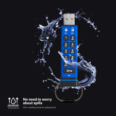 iStorage datAshur PRO 128 Go - Clé USB cryptée - Certifié FIPS 140-2 niveau 3 - Protégé par mot de passe - Résistant à la poussi