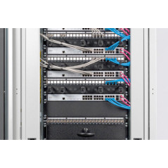DIGITUS Panneau de recouvrement 19" - 2U - Cache pour armoires réseau & serveur - Cache pour rack - matériel de fixation inclus 