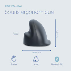 R-Go HE Basic Souris Ergonomique, Bluetooth 5.0, Rechargeable avec Type C/A câble, Prévention tendinite, Souris Ergo Verticale, 