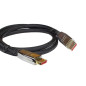 Série Python Premium. DisplayPort 1.4. 5 m Noir Série Python Premium. DisplayPort 1.4. 5 m Noir