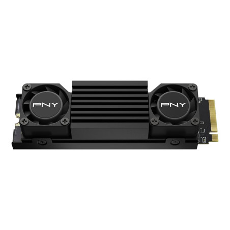 CS3150 Disque SSD interne M.2 NVMe avec dissipateur thermique noir 1 To