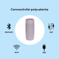 Denver Enceinte Bluetooth Portable Electronics