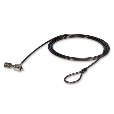Lindy Câble de sécurité pour Ordinateur Portable