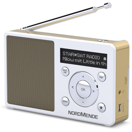 Nordmende Transita 100 Radio Dab Portable et puissante (Dab+, FM, Haut-Parleur, Prise Casque, mémoire des favoris, écran OLED, B