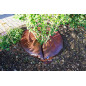 BGS Diy 53755 | Anneau d'irrigation | 55 l BGS Diy 53755 | Anneau d'irrigation | 55 l