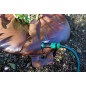 BGS Diy 53755 | Anneau d'irrigation | 55 l BGS Diy 53755 | Anneau d'irrigation | 55 l