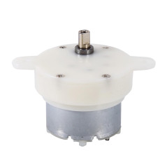 FTVOGUE 12v Moteur à Courant Continu à Couple Élevé Arbre Micro Moteur Électrique à Faible Vitesse pour Petits Présentoir