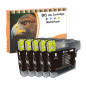 D&C Cartouches d'encre compatibles pour Brother LC-980/1100 DCP-185C DCP-385C DCP-395CN DCP-585CW DCP-6690CW DCP-J615W DCP-J715W D&C Cartouches d'encre compatibles pour Brother LC-980/1100 DCP-185C DCP-385C DCP-395CN DCP-585CW DCP-6690CW DCP-J615W DCP-J715W