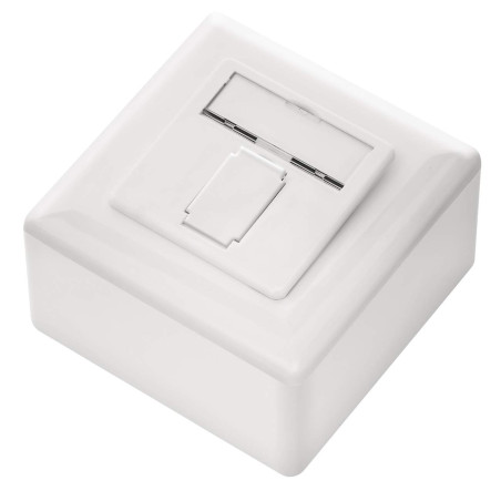 deleyCON 4x CAT6a Universel Prise Réseau - 1x Port RJ45 - Blindé - Surface ou Affleurant - 10 Gigabit Ethernet Réseau - EIA/TIA