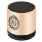 Anlising USB Haut-Parleur Numérique du Coran Lecteur MP3,Traducteur Remote Control Speaker, Portable Rechargeable avec Télécomma