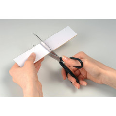 DURABLE - Porte étiquette - Porte étiquette adhésif - Porte étiquette autocollante LABELFIX - 200 x 40 mm - Pour l'identifcation