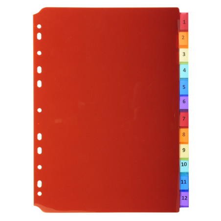 Exacompta - Réf. 3912E - Intercalaires en polypropylène translucide avec 12 onglets neutres - avec porte étiquette - Livré avec