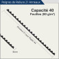 RAYSON Peignes de Reliure en Plastique, Capacité de Reliure de 40 Feuilles, 21 Anneaux, 8 mm, Noir, Paquet de 100 RAYSON Peignes de Reliure en Plastique, Capacité de Reliure de 40 Feuilles, 21 Anneaux, 8 mm, Noir, Paquet de 100