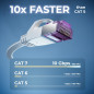 deleyCON 20m Câble Réseau Cat7 plat (Cat 7 avec 10 Gbit/s) Gigabit LAN - RJ45 Ethernet Câble Patch Installation plat - pour Inte deleyCON 20m Câble Réseau Cat7 plat (Cat 7 avec 10 Gbit/s) Gigabit LAN - RJ45 Ethernet Câble Patch Installation plat - pour Inte