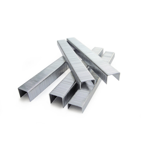 Tacwise 0431 Agrafes Galvanisées de Type 53 / 10 mm, Lot de 5000