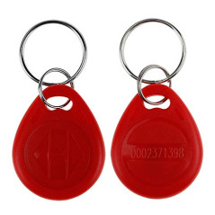 LIBO 125KHz Smart ID Key Tag RFID Carte de contrôle d'accès Proximité EM4100 TK4100 Keyfobs Porte-clés RFID NFC Token Badge Hold