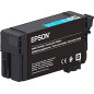 Epson Cartouche d'encre Originale XD2 Cyan