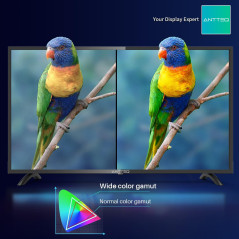 Antteq AB42D1 Télévision 42 Pouces (TV 107 cm), Dolby Audio, LED, Triple Tuner DVB-C / T2 / S2, CI+, HDMI, USB-Media Player, Sor