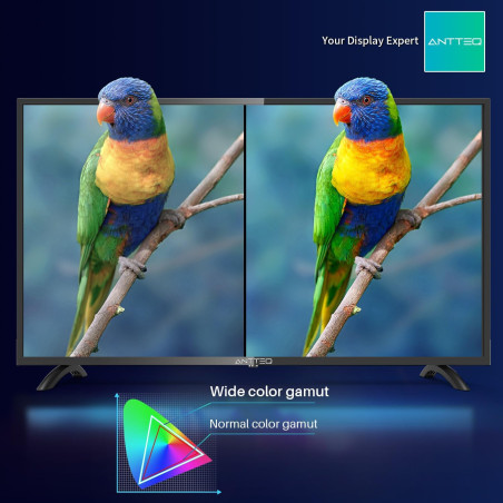 Antteq AB42D1 Télévision 42 Pouces (TV 107 cm), Dolby Audio, LED, Triple Tuner DVB-C / T2 / S2, CI+, HDMI, USB-Media Player, Sor