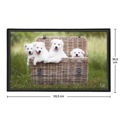 Viquel Sous main bureau motif Chien - Protection de bureau chiots