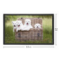 Viquel Sous main bureau motif Chien - Protection de bureau chiots Viquel Sous main bureau motif Chien - Protection de bureau chiots