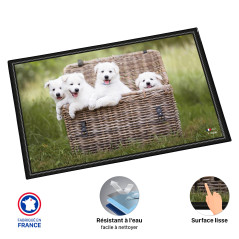 Viquel Sous main bureau motif Chien - Protection de bureau chiots
