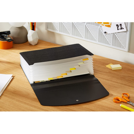 Rapesco 1638 Trieur à Soufflets Extensible 13 Compartiments, Protection Antibactérienne, A4, Noir