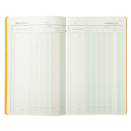 Exacompta - Réf. 7500E - 1 Piqûre JOURNAL DE CAISSE OU BANQUE - 2 libellés - 5 Débit et 5 Crédit - 31 lignes - 80 pages foliotée