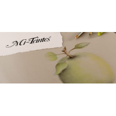 CANSON Mi-Teintes - Assortiment 10 feuilles de papier dessin A4 - 160g/m² - Tons chauds
