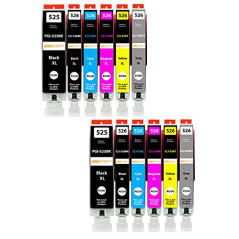 Amaprint 12 XL Cartouches Compatible avec Canon PGI 525 CLI 526 pour Pixma MG6150 MG6250 MG8150 MG8240 MG8250