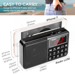 PRUNUS J-429 Petite Radio Portable Rechargeable avec Haut-parleur FM/AM(MW)/SW/USB/Micro-SD/MP3. Mini Radio fm portable avec Gro