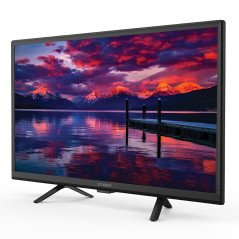 STRONG - Télévision HD 24" (60 cm) SRT24HE4023 - Télé 12V Idéale Caravane, Camping-Car, Bateau - Triple Tuner Intégré - 2 Ports 
