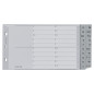 Leitz Intercalaires A5 Touches A-Z (Séparation A-L et M-Z), 20 Feuilles, Extra-Large, Gris, Onglets Renforcés en Plastique Résis Leitz Intercalaires A5 Touches A-Z (Séparation A-L et M-Z), 20 Feuilles, Extra-Large, Gris, Onglets Renforcés en Plastique Résis