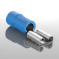 AUPROTEC Douilles à bride 0.5-6.0 mm² Connecteur femelle en PVC partiellement isolé. Connecteur de câble FDD en laiton étamé AUPROTEC Douilles à bride 0.5-6.0 mm² Connecteur femelle en PVC partiellement isolé. Connecteur de câble FDD en laiton étamé