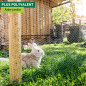 Windhager Treillis galvanisé pour Petits Animaux 0,5 x 10 m, Environ 13 mm Windhager Treillis galvanisé pour Petits Animaux 0,5 x 10 m, Environ 13 mm