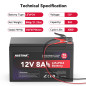 NASTIMA Batterie Rechargeable 12V 8Ah LiFePO4 avec Protection BMS et Cycle Profond 4000, adaptée aux Kits de Panneaux solaires, 