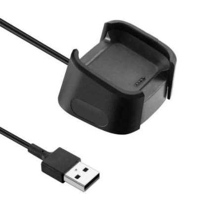 TECHGEAR Câble de Remplacement Chargeur USB Compatible avec Fitbit Versa/Versa Lite, Station de Recharge USB pour Versa/Versa Li