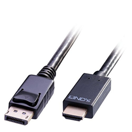 Lindy 36922 Câble DisplayPort vers HDMI 4K30 2 m