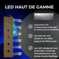 Lumetheus LED Diodes électroluminescentes 5mm 5 mm RVB 100 pièces Rouge = 400 mcd/Vert = 1500 mcd/Bleu = 700 mcd 2-3V 4 Pin LEDs