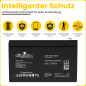 Offgridtec AGM Batterie solaire extrêmement zyklenfest 12 Ah 20 stünde 12 V, 2–01–001985 Offgridtec AGM Batterie solaire extrêmement zyklenfest 12 Ah 20 stünde 12 V, 2–01–001985