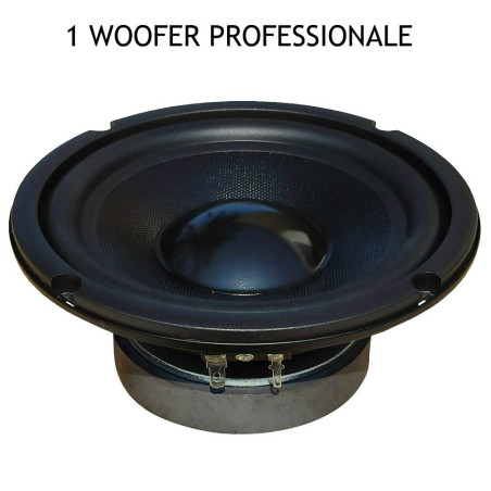 1 MASTER AUDIO MA16W/8 MA 16W/8 Haut-Parleur woofer Professionnel 16,50 cm 165 mm 6,5" 150 Watt rms 300 Watt Max 8 ohm Suspensio