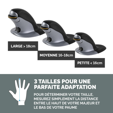 Fellowes Souris sans Fil Penguin, Format S