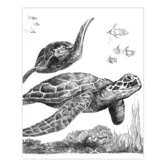 Royal & Langnickel Art Adventure Esquisse en facile Crayon