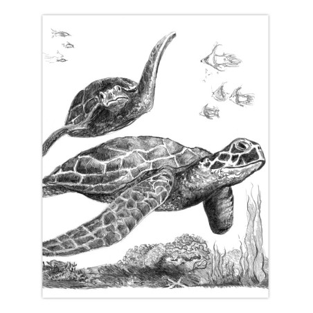 Royal & Langnickel Art Adventure Esquisse en facile Crayon