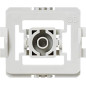 eQ-3 Gira Standard 103092A1 Lot de 20 adaptateurs eQ-3 Gira Standard 103092A1 Lot de 20 adaptateurs